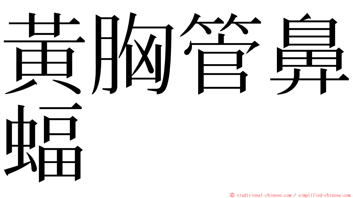 黃胸管鼻蝠 ming font