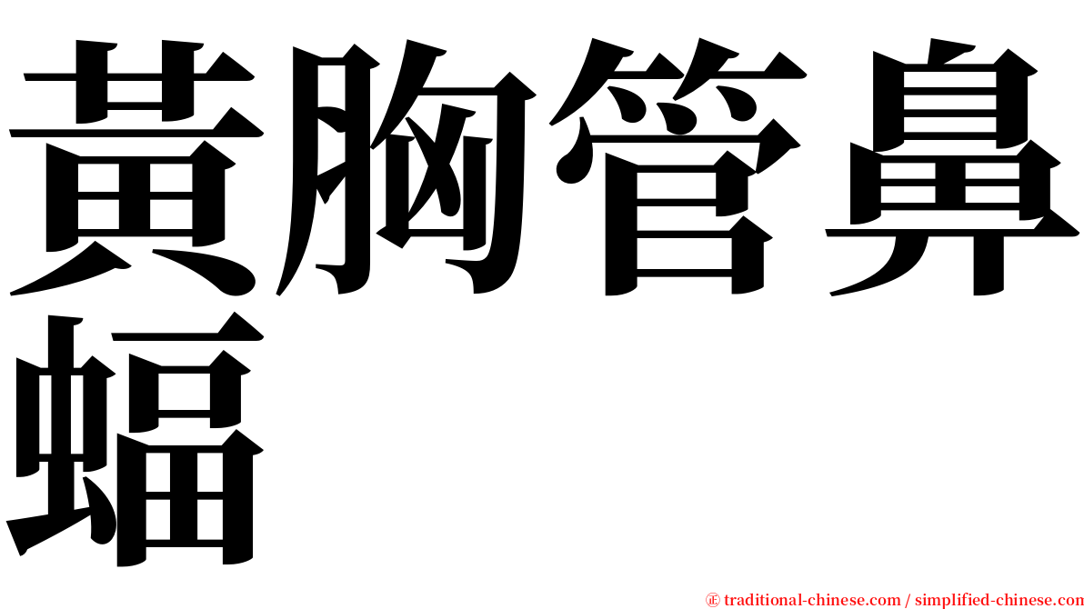 黃胸管鼻蝠 serif font