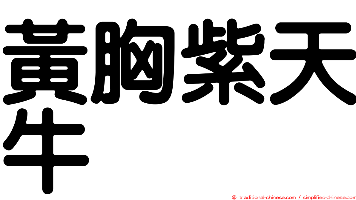 黃胸紫天牛