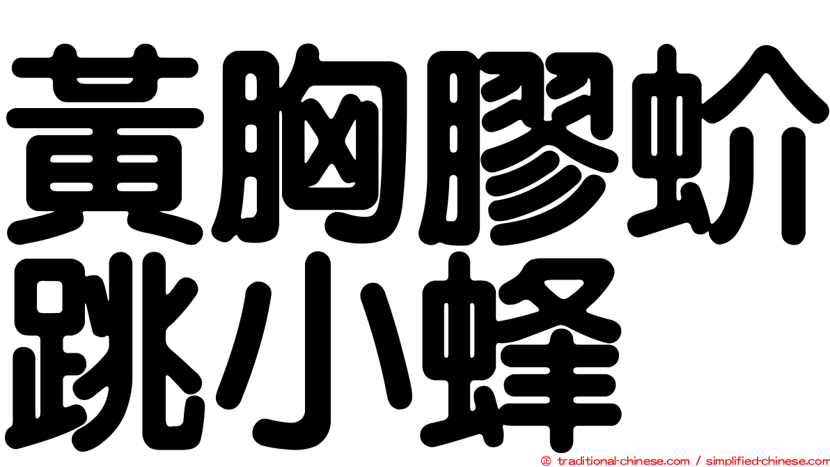 黃胸膠蚧跳小蜂