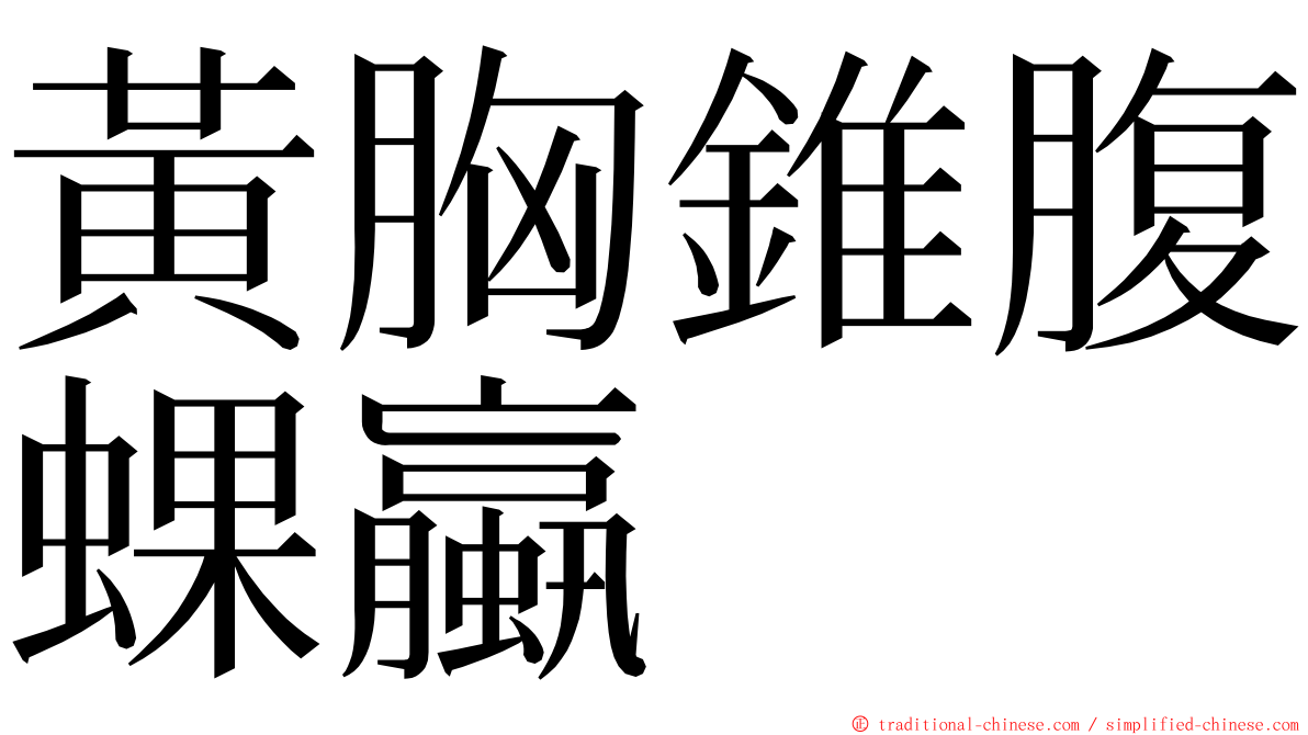 黃胸錐腹蜾蠃 ming font