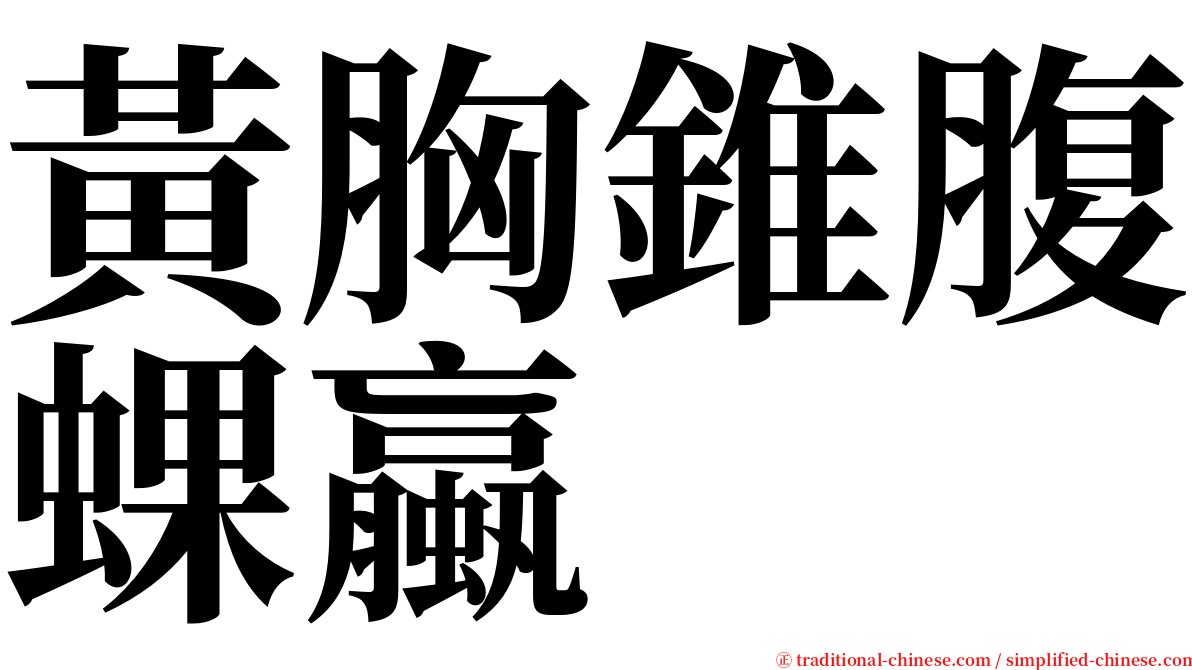 黃胸錐腹蜾蠃 serif font