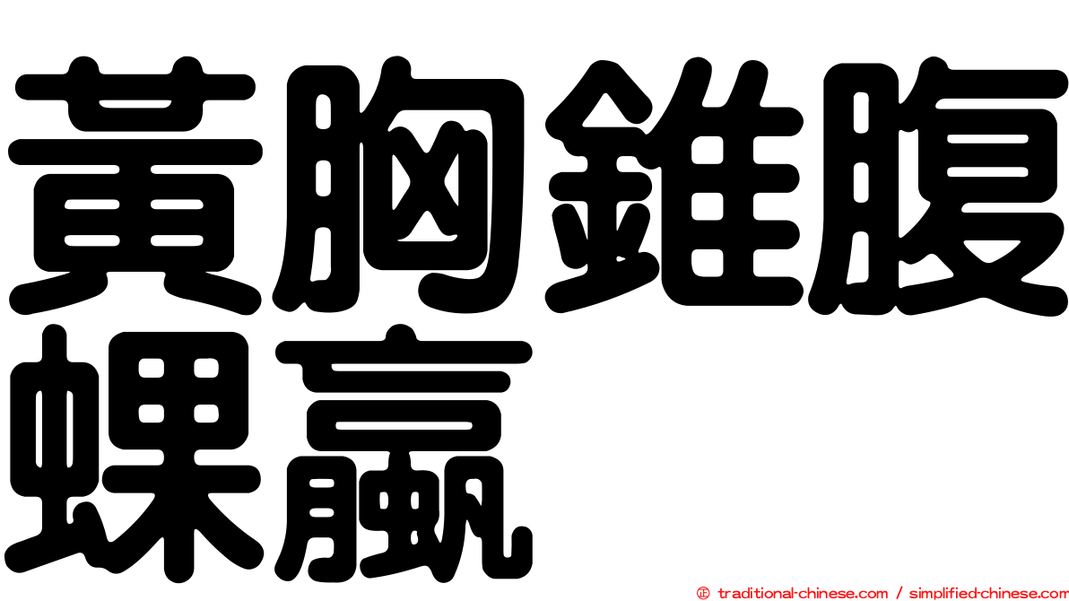 黃胸錐腹蜾蠃