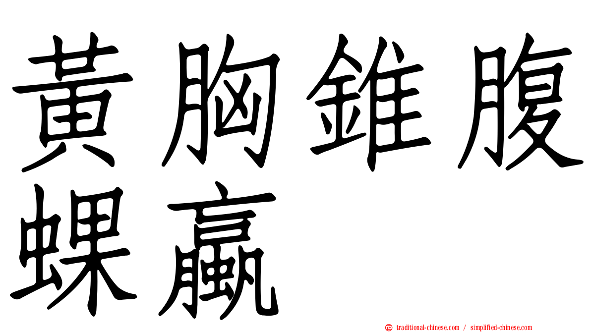 黃胸錐腹蜾蠃
