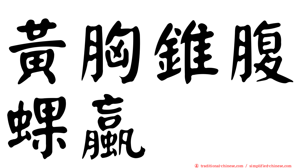 黃胸錐腹蜾蠃