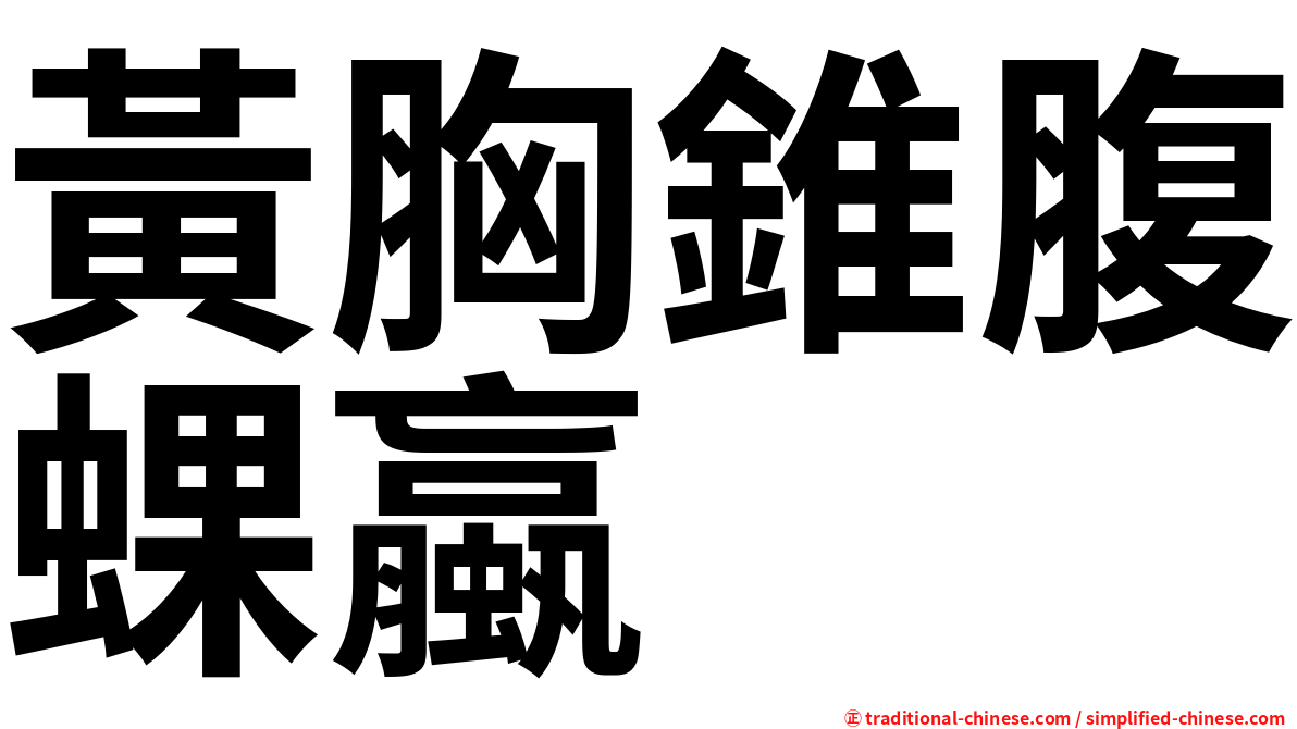 黃胸錐腹蜾蠃