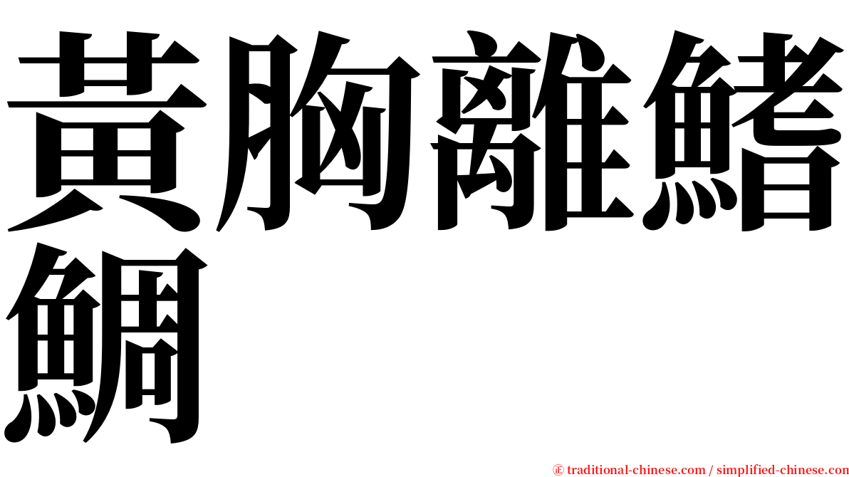 黃胸離鰭鯛 serif font