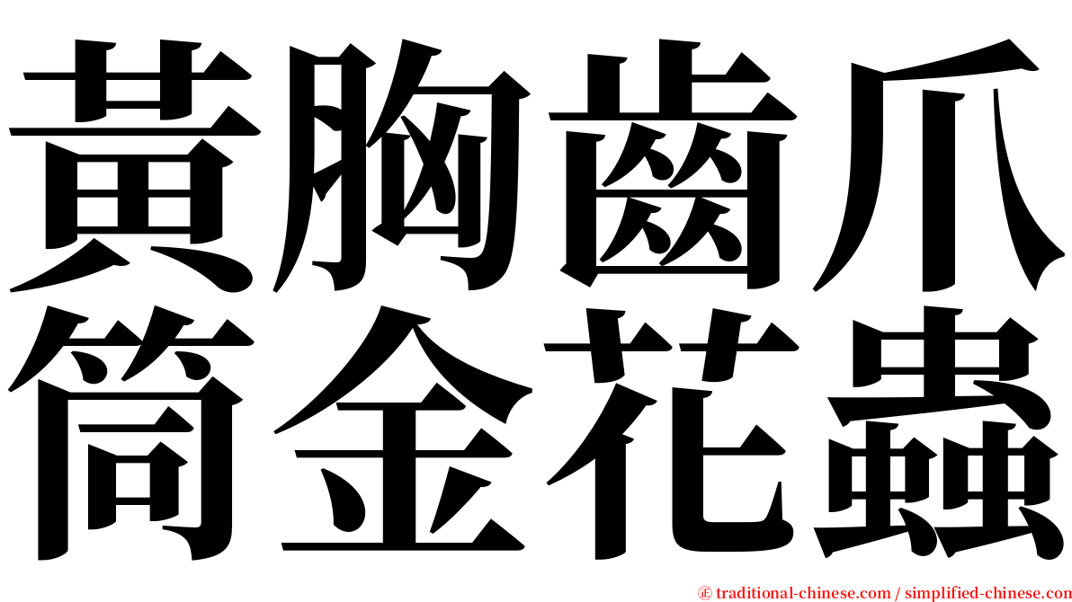 黃胸齒爪筒金花蟲 serif font