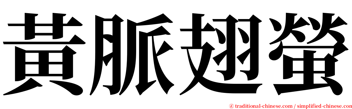 黃脈翅螢 serif font