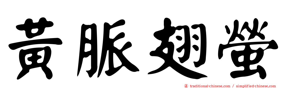 黃脈翅螢