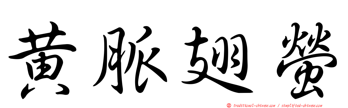 黃脈翅螢