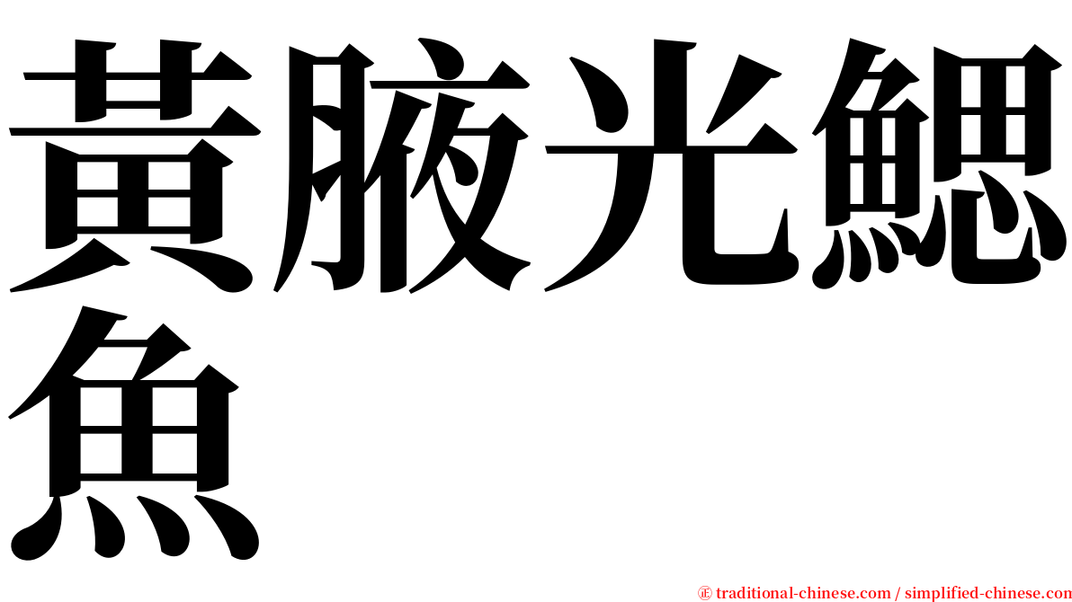 黃腋光鰓魚 serif font