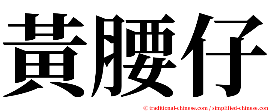 黃腰仔 serif font