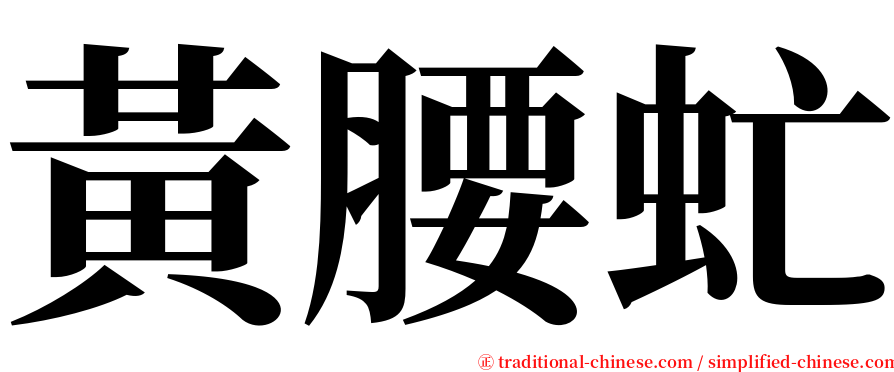 黃腰虻 serif font