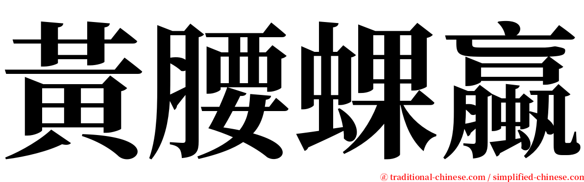 黃腰蜾蠃 serif font