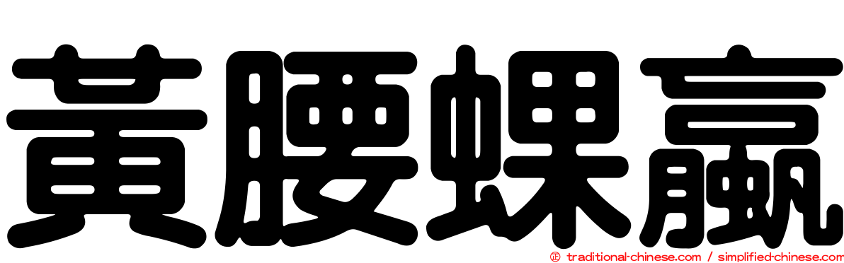 黃腰蜾蠃