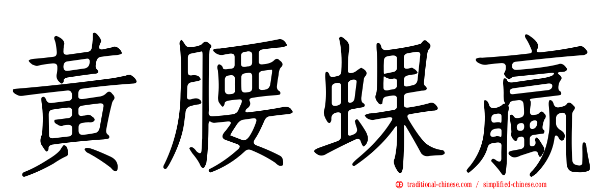 黃腰蜾蠃
