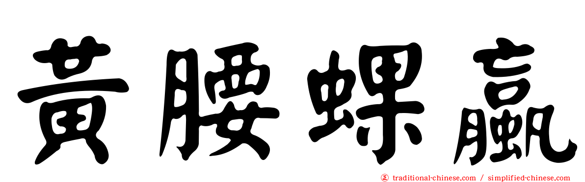 黃腰蜾蠃