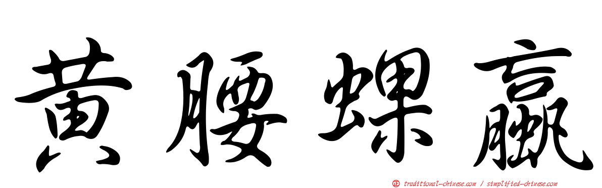 黃腰蜾蠃