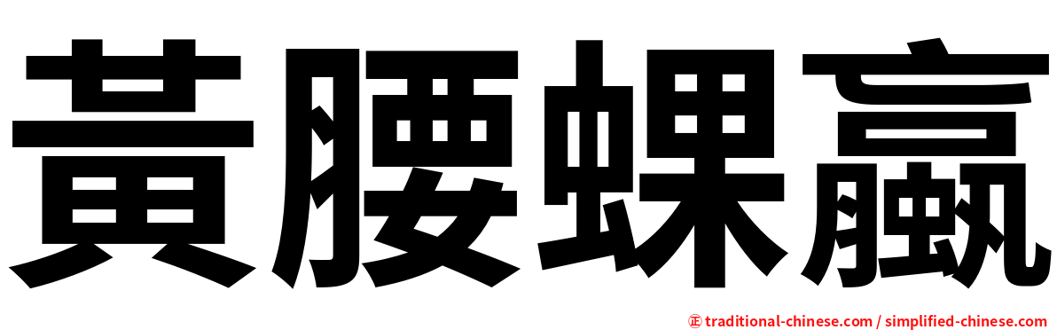 黃腰蜾蠃