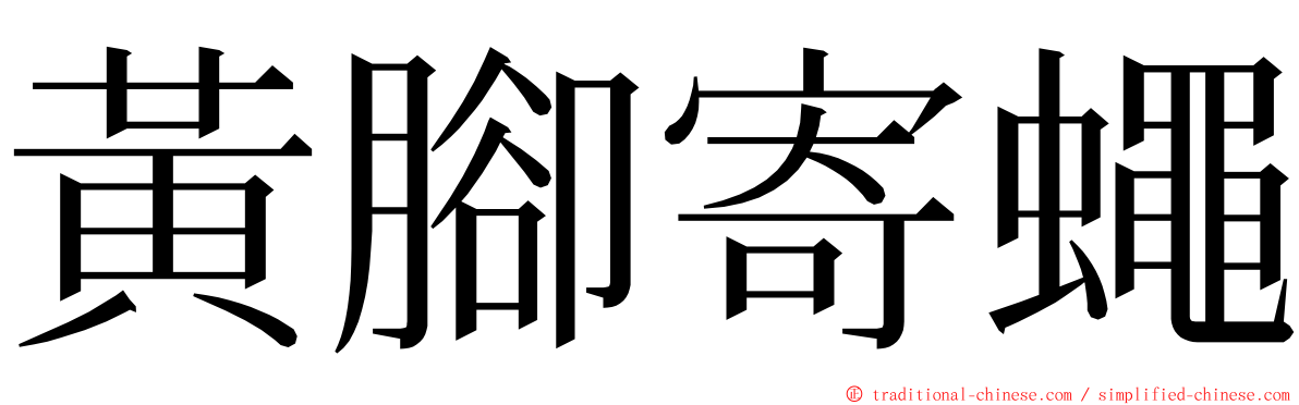 黃腳寄蠅 ming font