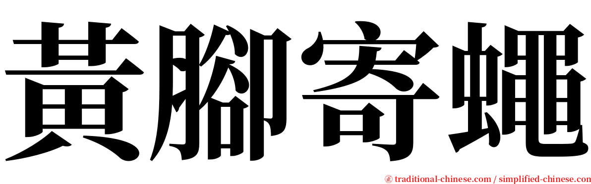 黃腳寄蠅 serif font