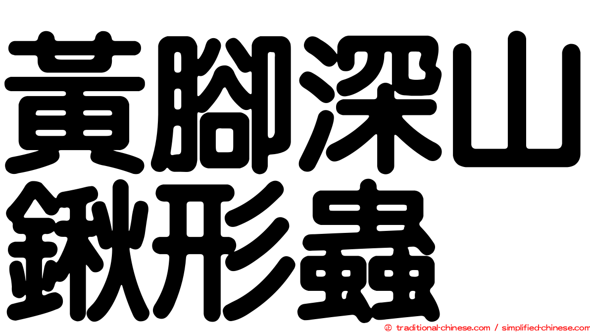 黃腳深山鍬形蟲