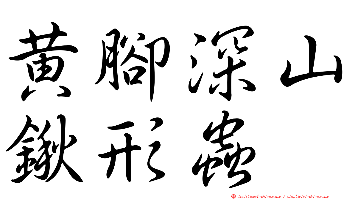 黃腳深山鍬形蟲