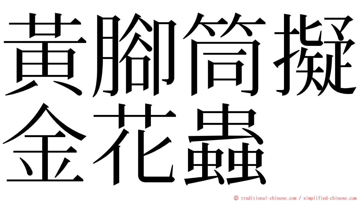 黃腳筒擬金花蟲 ming font