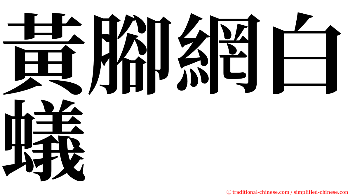 黃腳網白蟻 serif font