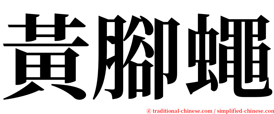 黃腳蠅 serif font