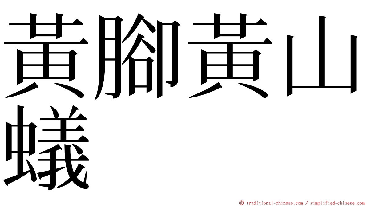 黃腳黃山蟻 ming font