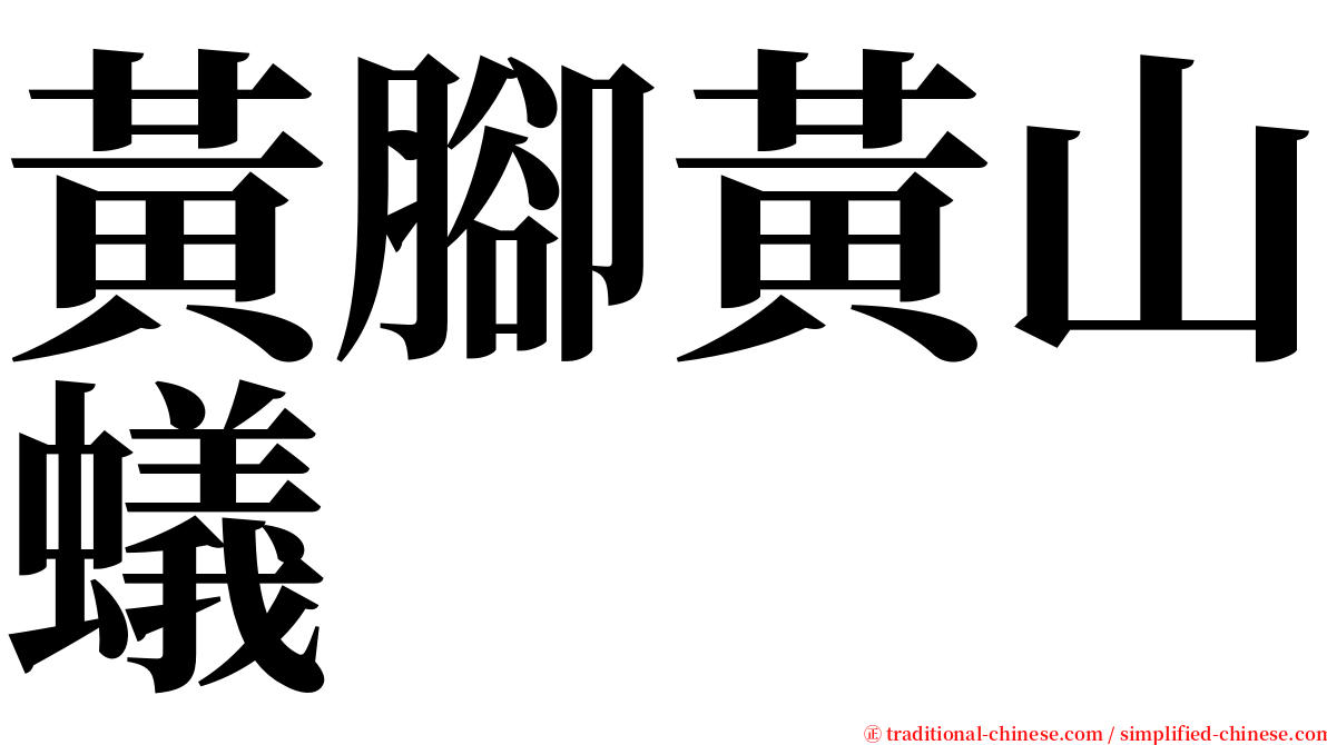 黃腳黃山蟻 serif font