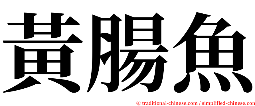 黃腸魚 serif font