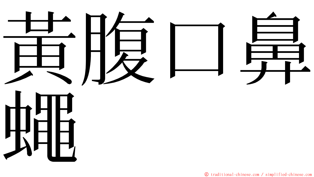 黃腹口鼻蠅 ming font