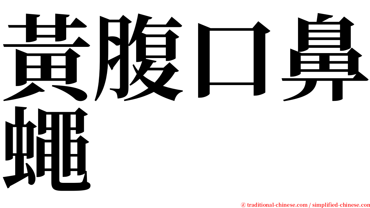 黃腹口鼻蠅 serif font