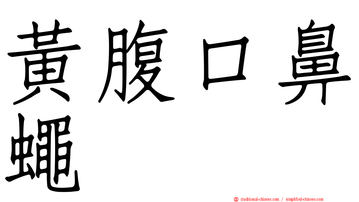 黃腹口鼻蠅