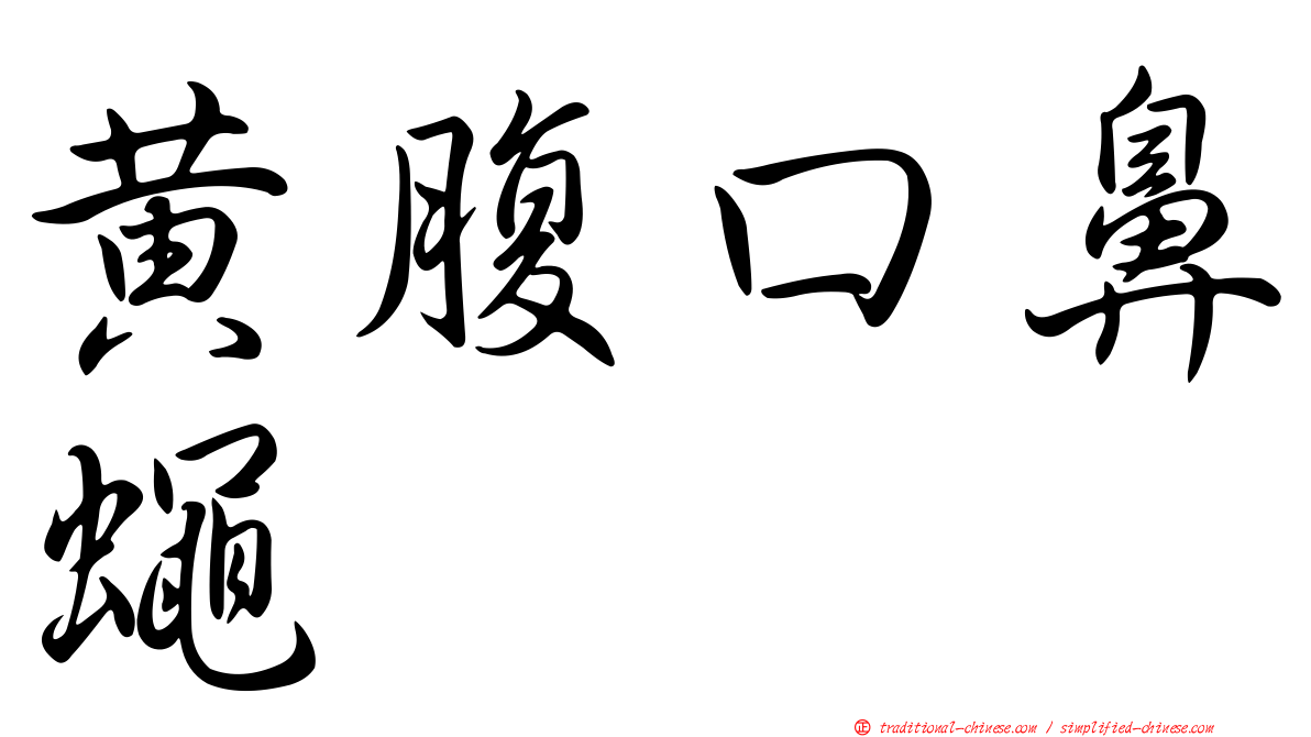 黃腹口鼻蠅
