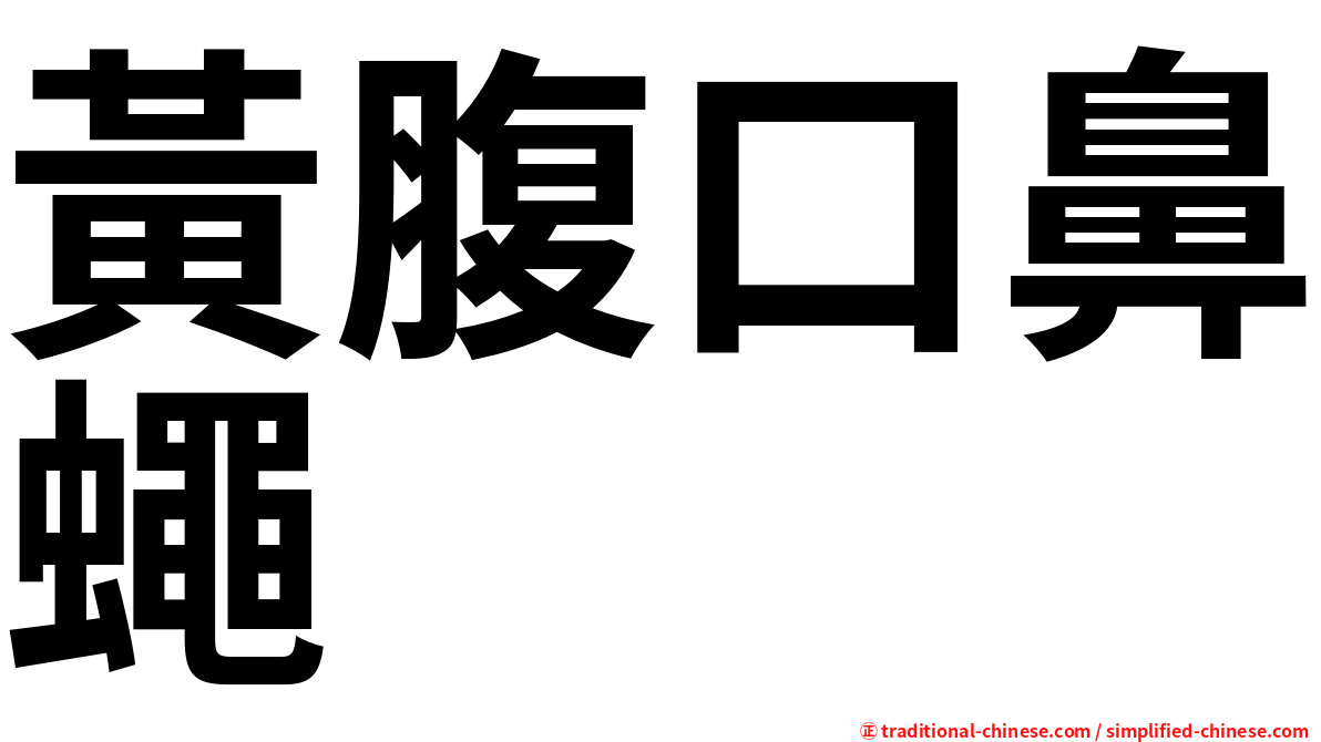 黃腹口鼻蠅
