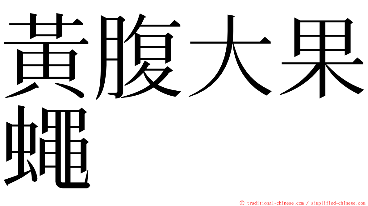 黃腹大果蠅 ming font