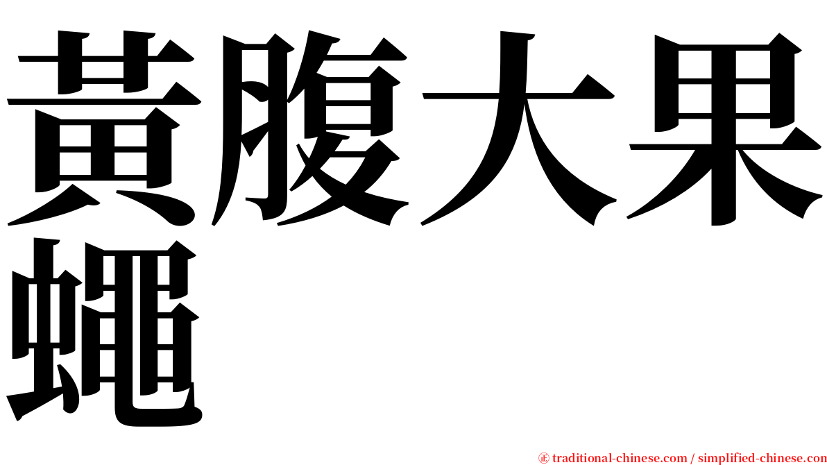 黃腹大果蠅 serif font