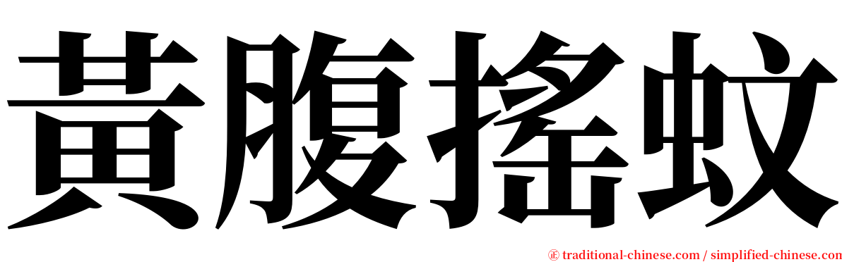 黃腹搖蚊 serif font