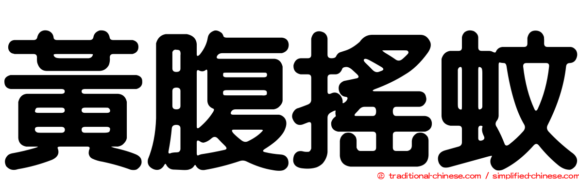 黃腹搖蚊