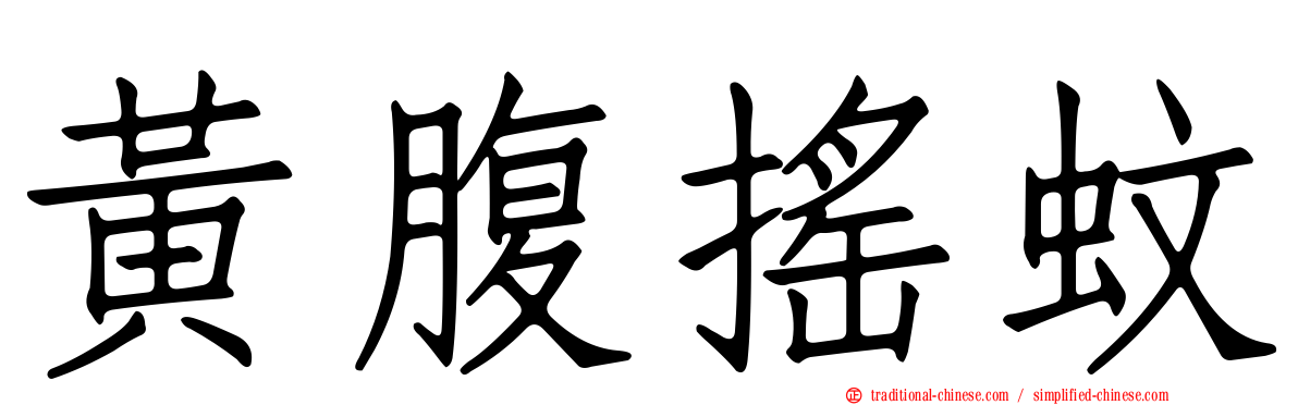 黃腹搖蚊