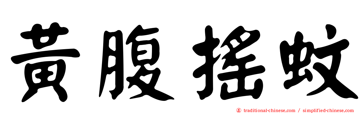 黃腹搖蚊