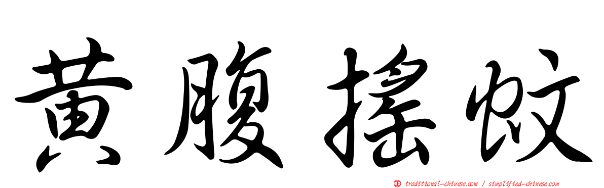 黃腹搖蚊