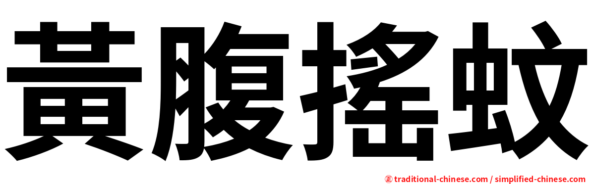 黃腹搖蚊