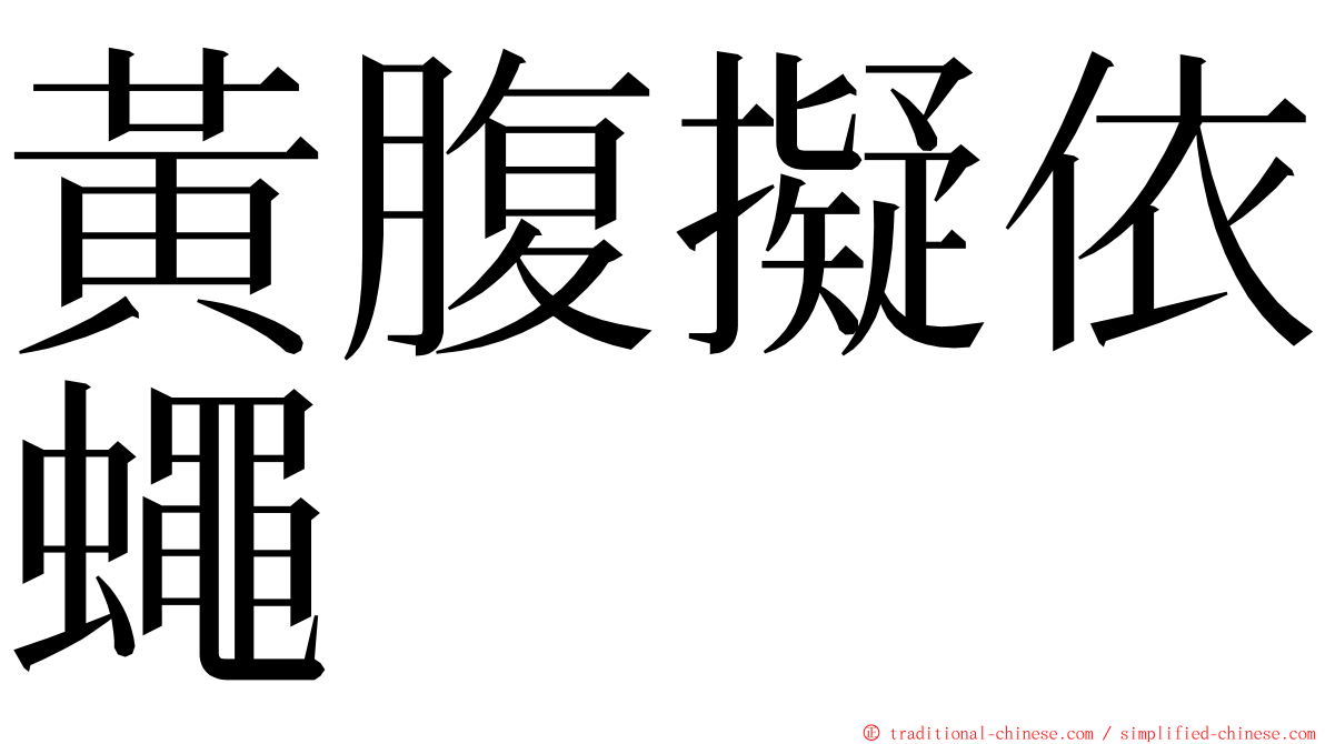 黃腹擬依蠅 ming font