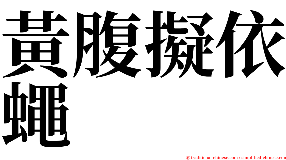 黃腹擬依蠅 serif font