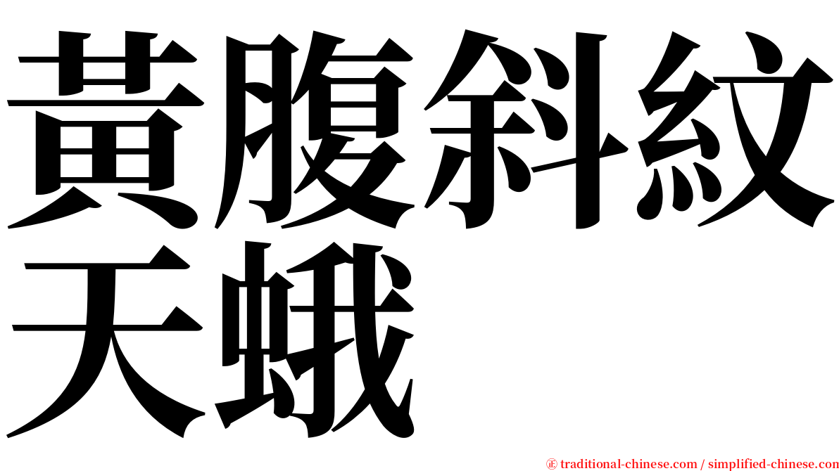 黃腹斜紋天蛾 serif font